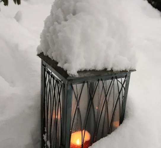 Πανσιόν Haus Miriam 4*